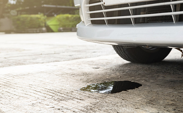 What Causes Oil Leaks in a VW Jetta and Passat?